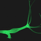 Illustration for article titled Could this immortal hydra polyp inspire advanced rejuvenation therapies for humans?